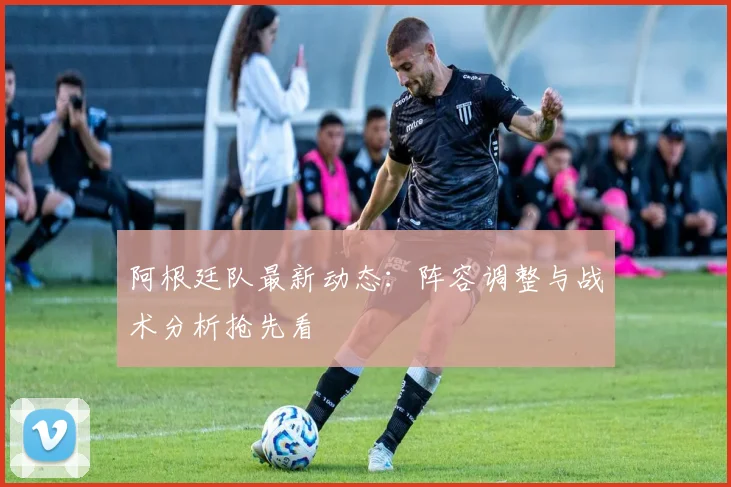 阿根廷队最新动态：阵容调整与战术分析抢先看